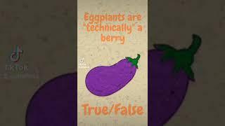 Animated POP Quiz About Eggplants #lilsoftees #nftgame #fruits #vegetables  #nft #teacherresources