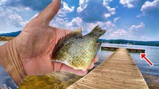 Easy Way To Load Your Cooler With Catfish