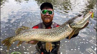 Creek Fishing With Oslo Spinners For Northern Pike! Hisea Fishing Waders + Fishing Tips + Runcl Reel