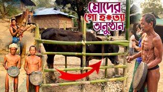 ম্রোদের গো হত্যা উৎসব | LIFE OF MRO TRIBE |