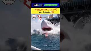 మిమ్మల్ని SHARK ATTACK చేస్తే ఇలా చేయండి ⁉️| intresting facts in telugu|#telugu #telugu #shorts