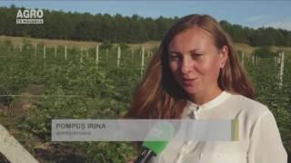 25. 08. 2016 Stiri AgroTV