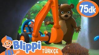 Blippi Kış Uykusunu Keşfediyor | Blippi Türkçe - Çocuklar için Eğitici Videolar