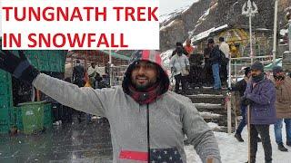 TUNGNATH & CHANDRASHILA TREK IN SNOWFALL!! COMPLETE INFORMATION!! EP:2