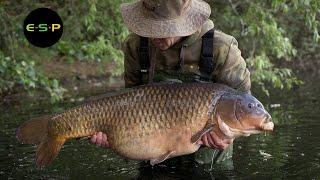 Old Gold | Terry Hearn | Iconic Carp Fishing