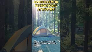 Eco-Friendly Camping Guide: Avoid Harmful Recreational Activities