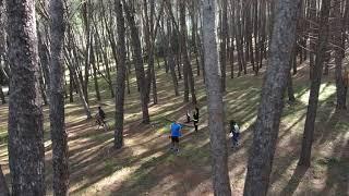 skydio 2 Sardegna, prova in bosco fitto