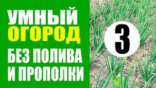 Умный Огород - 3 ч. Не Нужно Поливать и Пропалывать. Природное земледелие. Урожайный огород