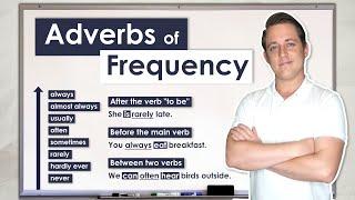 Adverbs of Frequency | Complete Grammar Guide