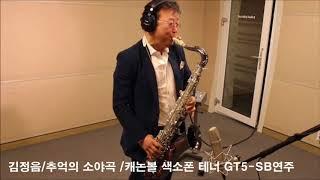 김정음 - 추억의 소야곡. 캐논볼 색소폰 - 테너 GT5 SB 연주