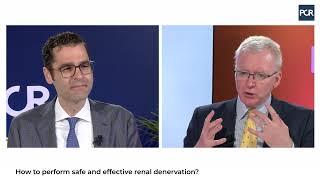 How to perform safe and effective renal denervation - The Essentials