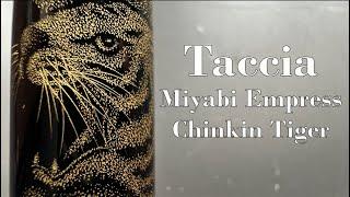 Taccia Miyabi Empress Chinkin Tiger