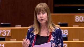 María Teresa Giménez Barbat 2 Mar 2017 plenary speech on the Europe for Citizens programme