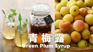 Super Easy Green Plum Syrup  No fermentation No bubbles  Does not use electric pot 