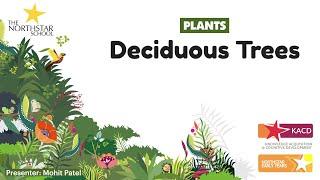 Plants Series - 8 | Deciduous Trees | Northstar Productions | The Northstar School