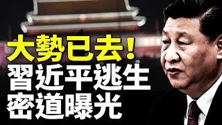 大勢已去！習近平2公里逃生密道曝光！