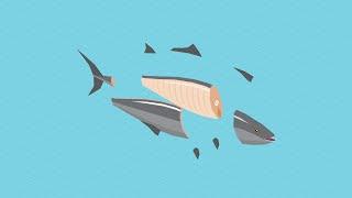 Follow That Fish: Traceability through the Wisefish Value Chain