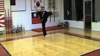Tang Soo Do form 10 Sip Soo