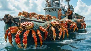 US Fishermen Catch Hundreds of Tons of Snow Crab This Way - Snow Crab Trawling