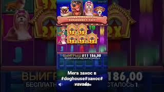 #vavada #занос #отмазка #pragmaticplay #деньги #заносынедели #мегазанос dog house