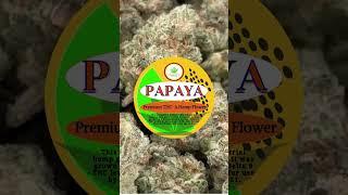 Experience the Vibrant Papaya THCA Flower at PhenomWell CBD Store - Salisbury, NC