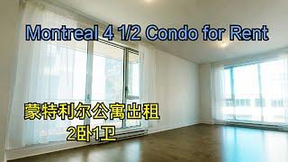 Montreal 4 1/2 Condo for Rent 蒙特利尔公寓出租