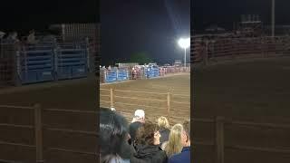 Bull riding at Bolivar Rodeo at Missouri Beef Days