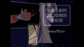 人体解剖学图谱2023 | 完整的3D参考！