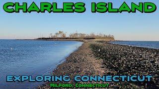 I Walked to an Island! Charles Island in Long Island Sound! Milford, Connecticut