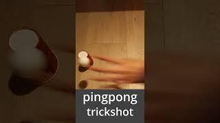 pingpong trickshot #trickshots #pingpong