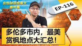 安省多伦多赏枫宝典|多伦多市内赏枫景点大合集！【庄也杂谈加拿大116】