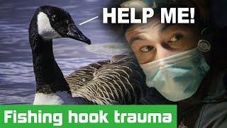 Rescuers save trapped goose from a nasty fate!