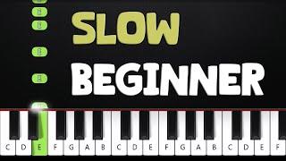 Rush E | SLOW BEGINNER Piano Tutorial