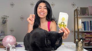 GEMINI THIS IS NO ACCIDENT! THIS IS FATE! | JUNE 9-16
