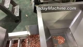 Fully Automatic Rotary 2kg Sugar Premade Bag Pouch Filling Packaging Packing Machine