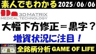 【全銘柄分析】スリー・ディー・マトリックス！大幅下方修正＝黒字化！増資あるかに注目！【20250606】