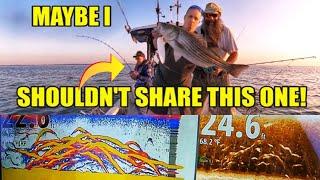 YOU DON’T KNOW this Striper Fishing Trick! REAL reason my fish finder is LOADED WITH FISH! Simrad