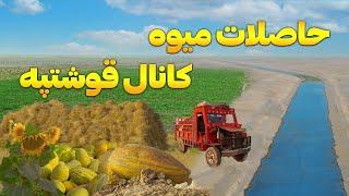 گزارش ویژه از حاصلات میوه کانال قوشتپه  |  Qosh Tepa Canal