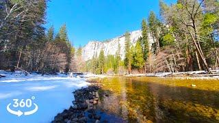 8K 360° VR Merced River, Yosemite – Winter Ambience & Snowy Scenery | Relaxing Nature Ambience