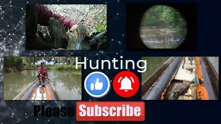 #pestcontrol Wild duck hunting