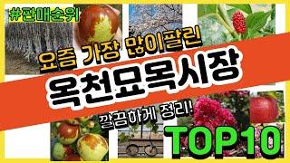 옥천묘목시장 추천 판매순위 Top10 || 가격 평점 후기 비교