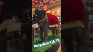 Wow Elephant Inside the Airport #Bangalore KIA T2