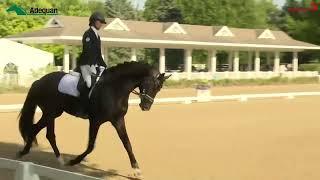 Madeleine Bendfeldt & Zapatero | Markel/USEF Four-Year-Old Horse Test | Festival of Champions