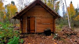 Off Grid Log Cabin: Sealing Logs And Grouse Hunting