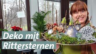 Ritterstern-Deko fürs Wohnzimmer - DIY