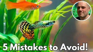 Guppy Keeping Fails: Learn from These 5 Common Mistakes