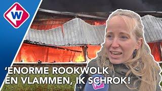 Enorme brand in kwekerij, rook van ver te zien