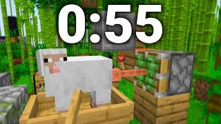 Minecraft Sheep F*cker Speedrun FWR (0:55)