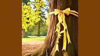 Tie A Yellow Ribbon ‘Round The Ole Oak Tree