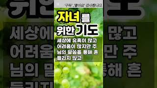 자녀를 위한 기도 / 자녀를 위한 축복의 기도 #자녀를위한기도#자녀를위한축복의기도#자녀를위한은혜의기도